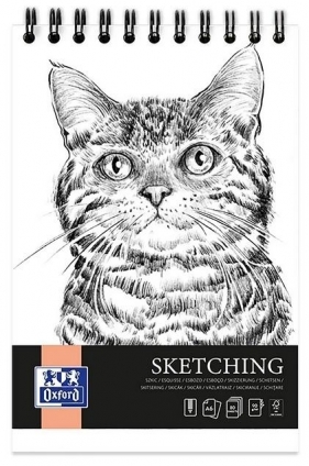 Blok artystyczny szkicownik A6/80K 90G