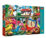 Puzzle 1000 elementów Premium Plus Quality Świat ptaków (10850)