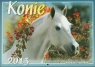 Kalendarz 2013 WL 10 Konie
