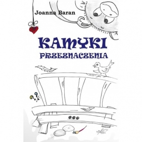 Kamyki przeznaczenia - Joanna Baran