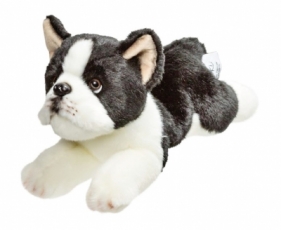 Pies Terrier 30 cm