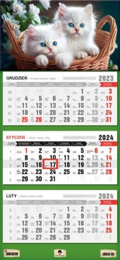 Kalendarz 2024 trójdzielny - Kotki