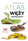 Atlas węży hodowlanych 100 gatunków Angelika Dawidowicz