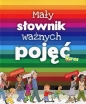Mały słownik ważnych pojęć - Bertrand Fichou