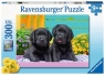 Ravensburger, Puzzle XXL 300: Pupile (12950) Wiek: 9+