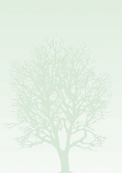 GALERIA:BARWNE ARKUSZE A4 drzewo