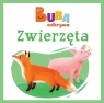  Buba odkrywa. Zwierzęta