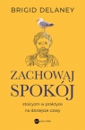 Zachowaj spokój Stoicyzm w praktyce na dzisiejsze czasy Brigid Delaney