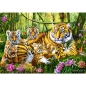 Puzzle 500: Rodzina tygrysów (37350)