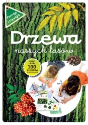 Drzewa naszych lasów zeszyt z kalką - Andżelika Bielańska
