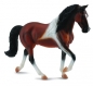 Klacz rasy Stallion Bay Pinto XL (004-88450)