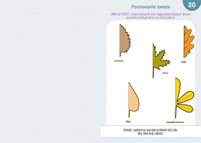 Ćwiczenia z myślenia dla 5-6-latka - Tamara Michałowska