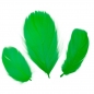 Piórka dekoracyjne 16g - zielone