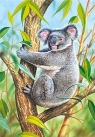 PUZZLE KOALA 120 ELEMENTÓW CASTOR</h1>