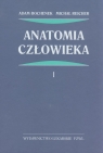 Anatomia człowieka Tom 1  Bochenek Adam, Reicher Michał
