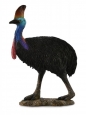 Kazuar hełmiasty L (004-88651)