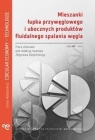 Mieszanki łupka przywęglowego i ubocznych produktów fluidalnego spalania praca zbiorowa