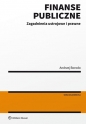 Finanse publiczne - Andrzej Borodo