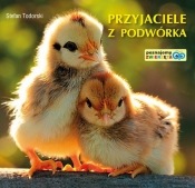 Przyjaciele z podwórka - Stefan Todorski