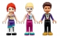 Lego Friends: Magiczny diabelski młyn (41689)