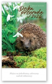 Kalendarz 2026 reklamowy Dzika przyroda