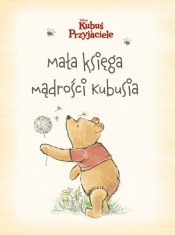 Mała księga mądrości Kubusia. Disney Kubuś i Przyjaciele - Mike Wall (ilustr.), Brittany Rubiano