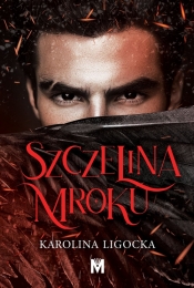 Historia Naridy. Tom 2. Szczelina mroku - Karolina Ligocka