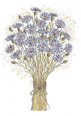 Karnet A5 Imieniny - Chabry