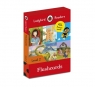 Ladybird Readers Level 2 Flashcards