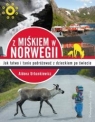 Z Miśkiem w Norwegii Jak łatwo podróżować z dzieckiem po świecie Urbankiewicz Aldona