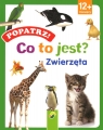 Popatrz! Co to jest? Zwierzęta