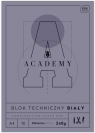 Blok techniczny A4/10K Academy (10szt)