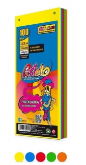 Przekładka do segregatora 1/3 A4 100K 5 kolorów