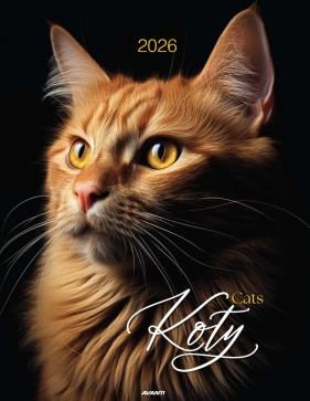 Kalendarz ścienny mały spirala 2026 - Koty
