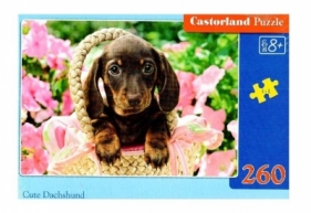 Puzzle 260: Cute Dachshund