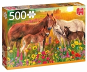Puzzle 500: Konie na łące (18851)