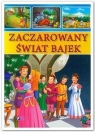 Zaczarowany świat bajek