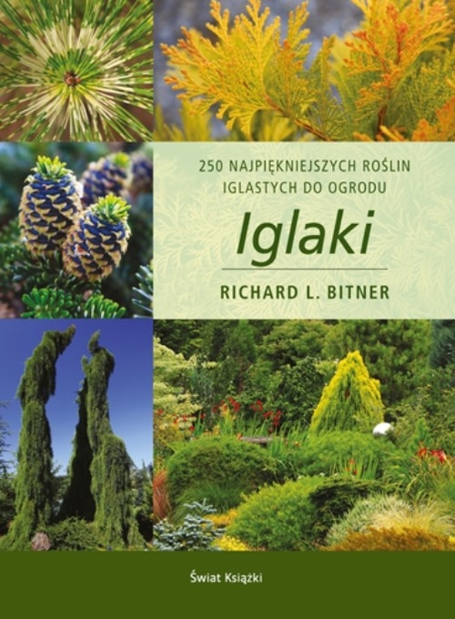 Iglaki