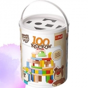 Klocki 100 sztuk (60651)