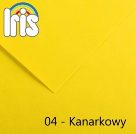 Karton iris A4 185g 50akr.04-kanarkowy 20040155 - Fila Polska