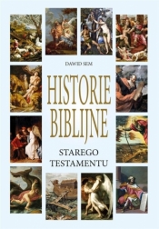 Historie Biblijne Starego Testamentu - Dawid Sem