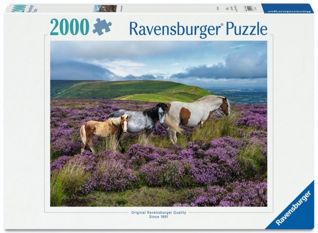 <img src='https://webimage.pl/pics/516/7/d4005555017516.jpg' style='height:440px' /> Puzzle 2000 Wild Horses in the Heather