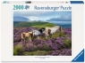 Ravensburger, Puzzle 2000: Dzikie konie (12001751) Wiek: 14+