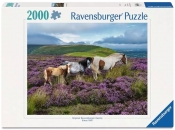 Ravensburger, Puzzle 2000: Dzikie konie (12001751)