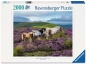 Ravensburger, Puzzle 2000: Dzikie konie (12001751)