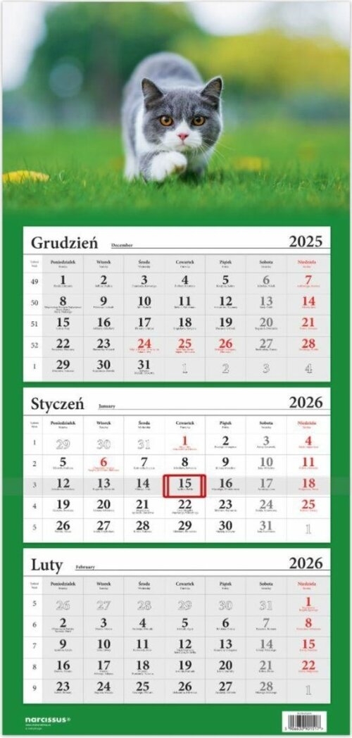 Kalendarz 2026 Trójdzielny Kot brytyjski