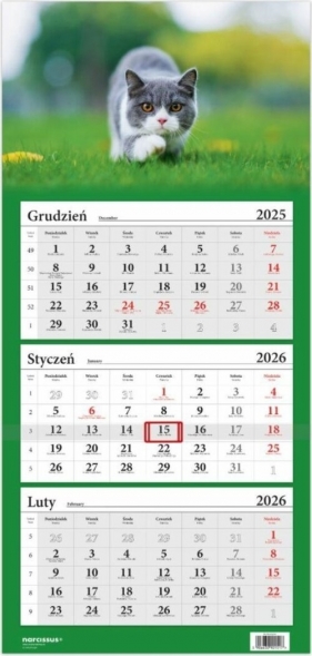 Kalendarz 2026 Trójdzielny Kot brytyjski