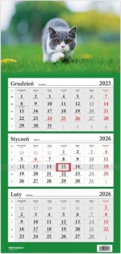 Kalendarz 2026 Trójdzielny Kot brytyjski