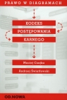 Prawo w diagramach Kodeks postępowania karnego Czajka Maciej, Światłowski Andrzej
