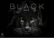 Kalendarz 2018 Black EX HELMA